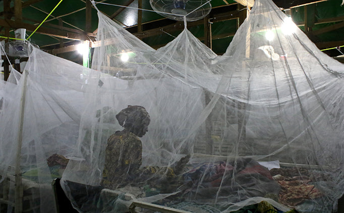 Several white mosquito nets hang like tents over beds. A person sits on one bed.