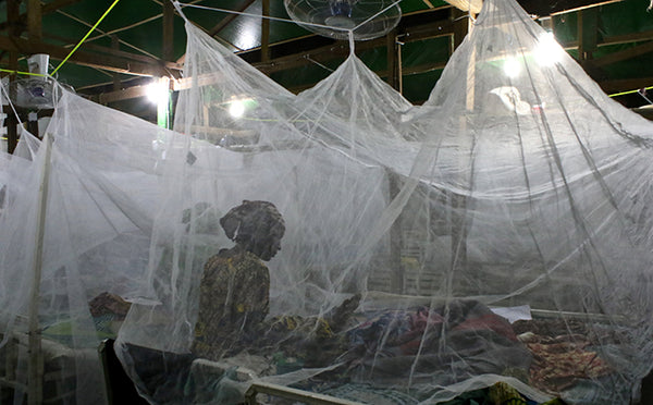 2 Mosquito Nets - Asha Partners